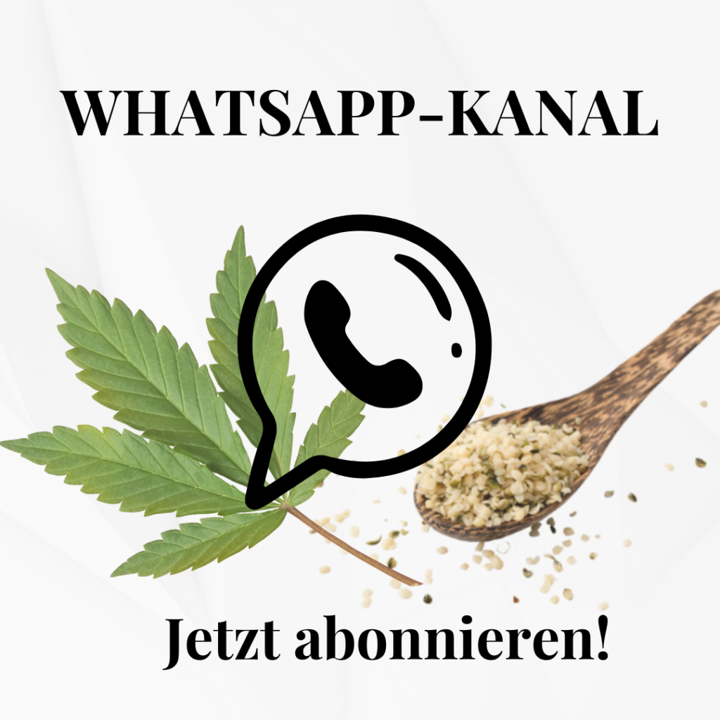 WhatsApp-Kanal von hanfhuette.com