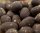 Kakaobohnen in Schokolade mit gerösteten Hanfsamen - Hanf-Bissen handgefertigt